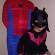 Batman &, Spiderman Costumes