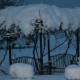 Top  Grape Arbor In Winter