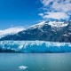 Best of  Glacier Bay,Lamplugh Glacier