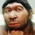 Discuss  Human Neanderthal Link