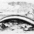 Best of  Oarfish