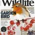 Top  BBC Wildlife Magazine