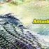 Top  Nat Geo Wild Attack Giant Crocs