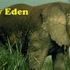   Wild World Africa' s Deadly Eden