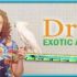 Best of  Dr K' s Exotic Animal ER