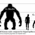 Best of  Gigantopithecus