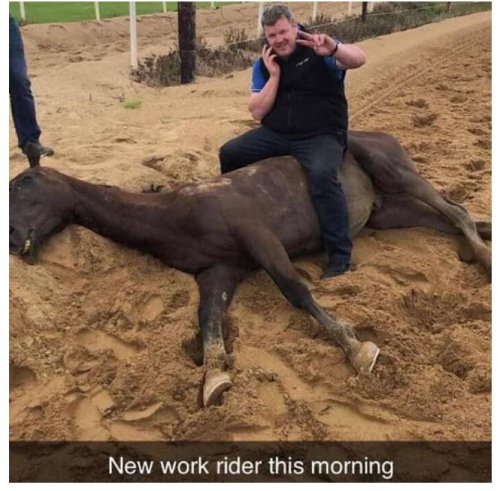 Gordon Elliott