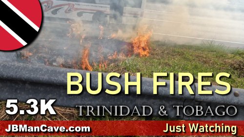 Roadside Bush Fires