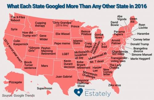 The Most Google Search Subject By State 2016