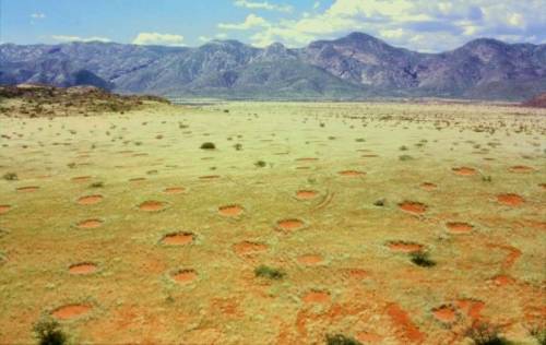 Fairy Circles Of Namibia