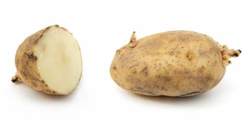 History Of The Potato