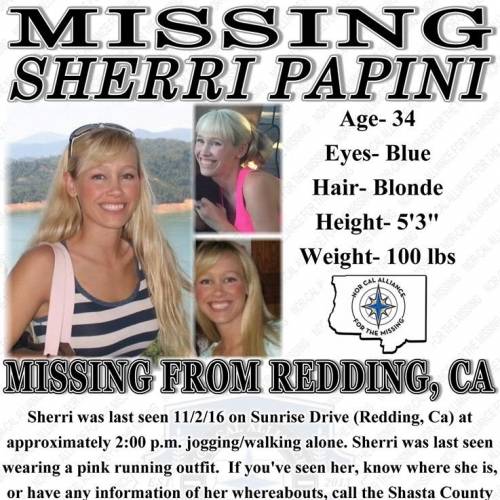 Sherri Papini Missing
