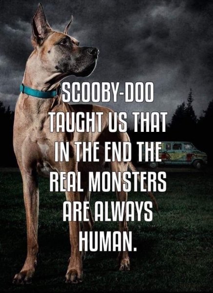 Lessons To Be Learned From Scooby-doo