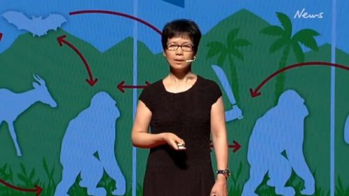 Shi Zenghli - Batswoman Who Predicted The Coronavirus Pandemic