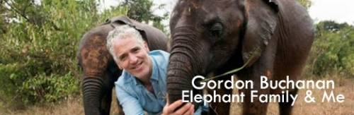 Gordon Buchanan: Elephant Family & Me