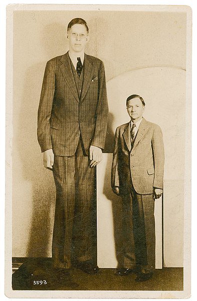 The Tallest  Man Who Ever Lived