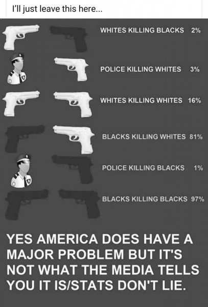 Whites Killing Blacks vs Blacks Killing Whites vs Police Killing Blacks In USA