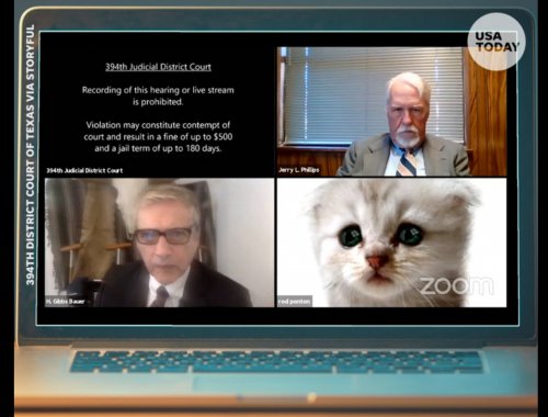 Lawyer Uses Kitty Zoom For Trial