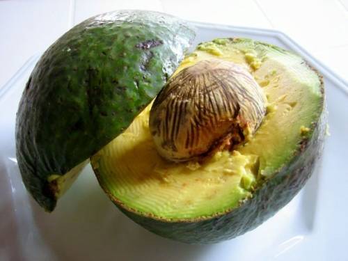 Avocado & Health