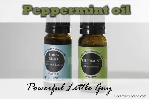 What You Didn't Know About Peppermint Oil
