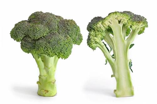 Broccoli For Health