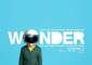   Wonder