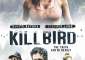 Best of  Killbird