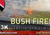   Roadside Bush Fires
