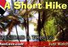   Short Hike In Trinidad