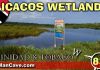 Best of  Icacos Wetlands Trinidad