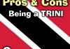 Discuss  Trini Positives Negatives