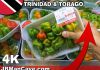   Cost Food In Trinidad
