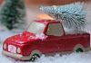 Best of  Christmas Trees Cause Car Accidents