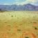 Top  Fairy Circles Namibia