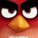 Best of  The Angry Birds Movie