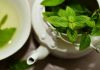 Top  Green Tea For Health