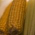 Best of  GMO Corn,Corn Research
