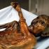 Top  5,300 Year Old Iceman Mummy Recreated