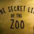 Best of  The Secret Life Zoo
