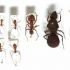 Best of  Ant Research