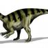 Best of  Plateosaurus