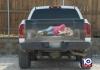 Top  Tailgate Decals Dumb Kind