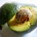 Top  Avocado & Health