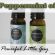 Discuss  What Didn' t Know About Peppermint Oil