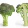   Broccoli For Health
